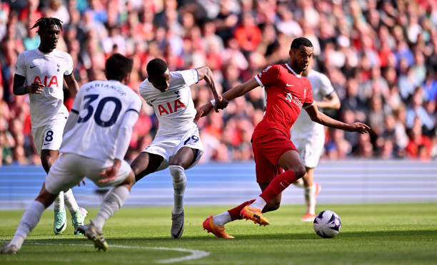 在这场比赛 在这场比赛