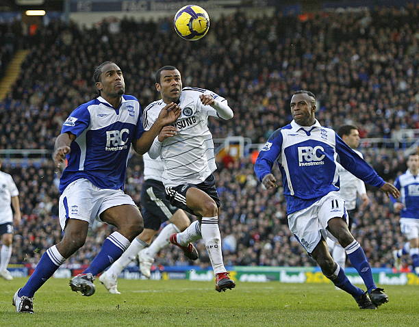 大自然的背 大自然的背